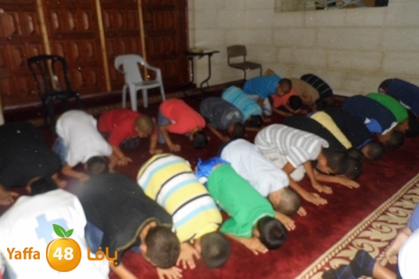 kaber trawe7 718 (8).JPG